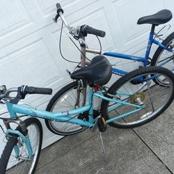 Schwinn or D'back Bikes