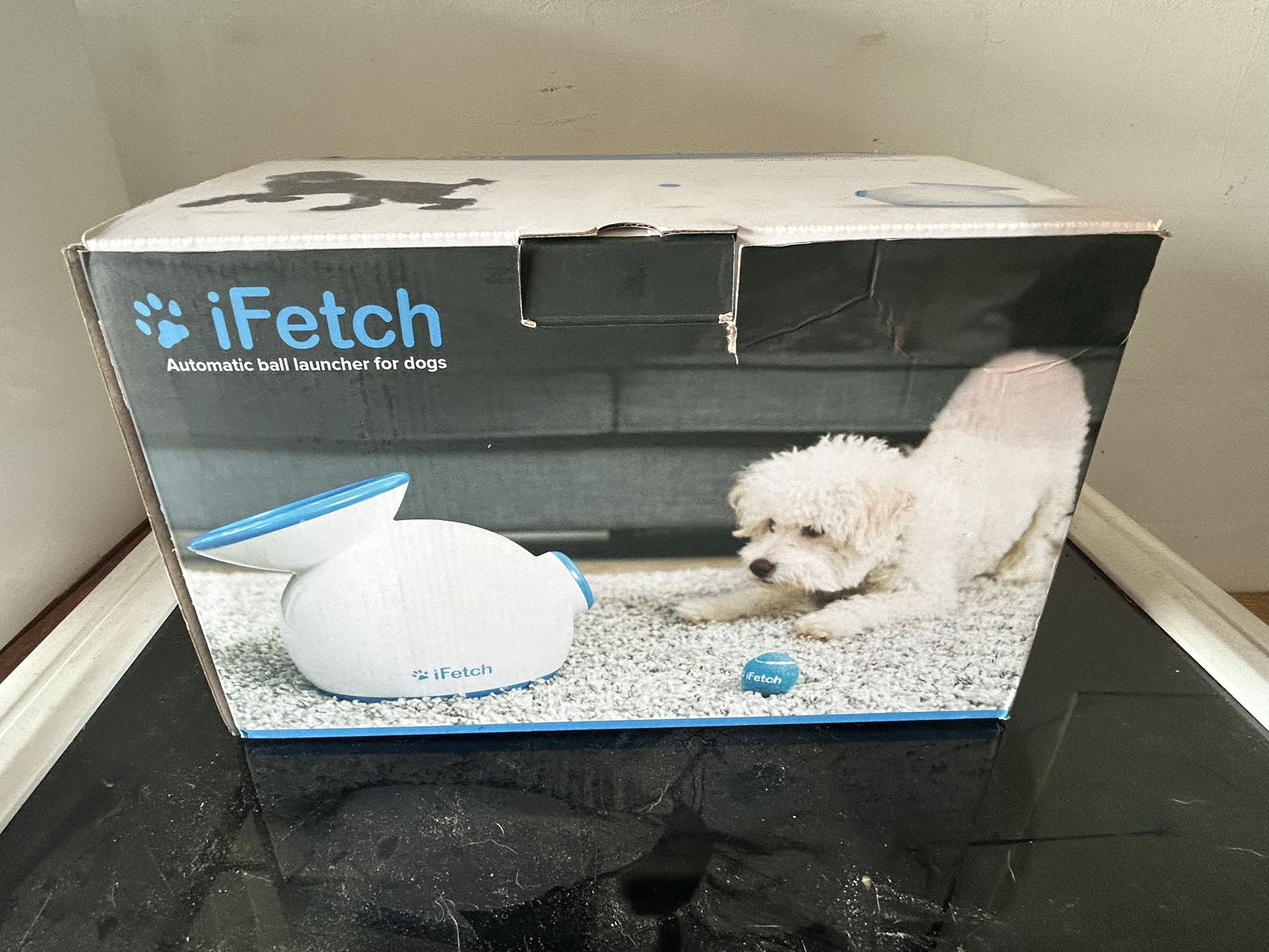 IFetch For Small Breed Dogs