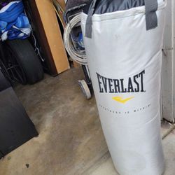 Punching Bag
