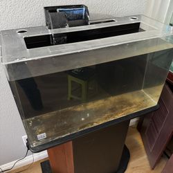 Acrylic Aquarium Fish Tank 30G With Stand and Filter