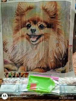 Pomeranian Diamond painting complete kit