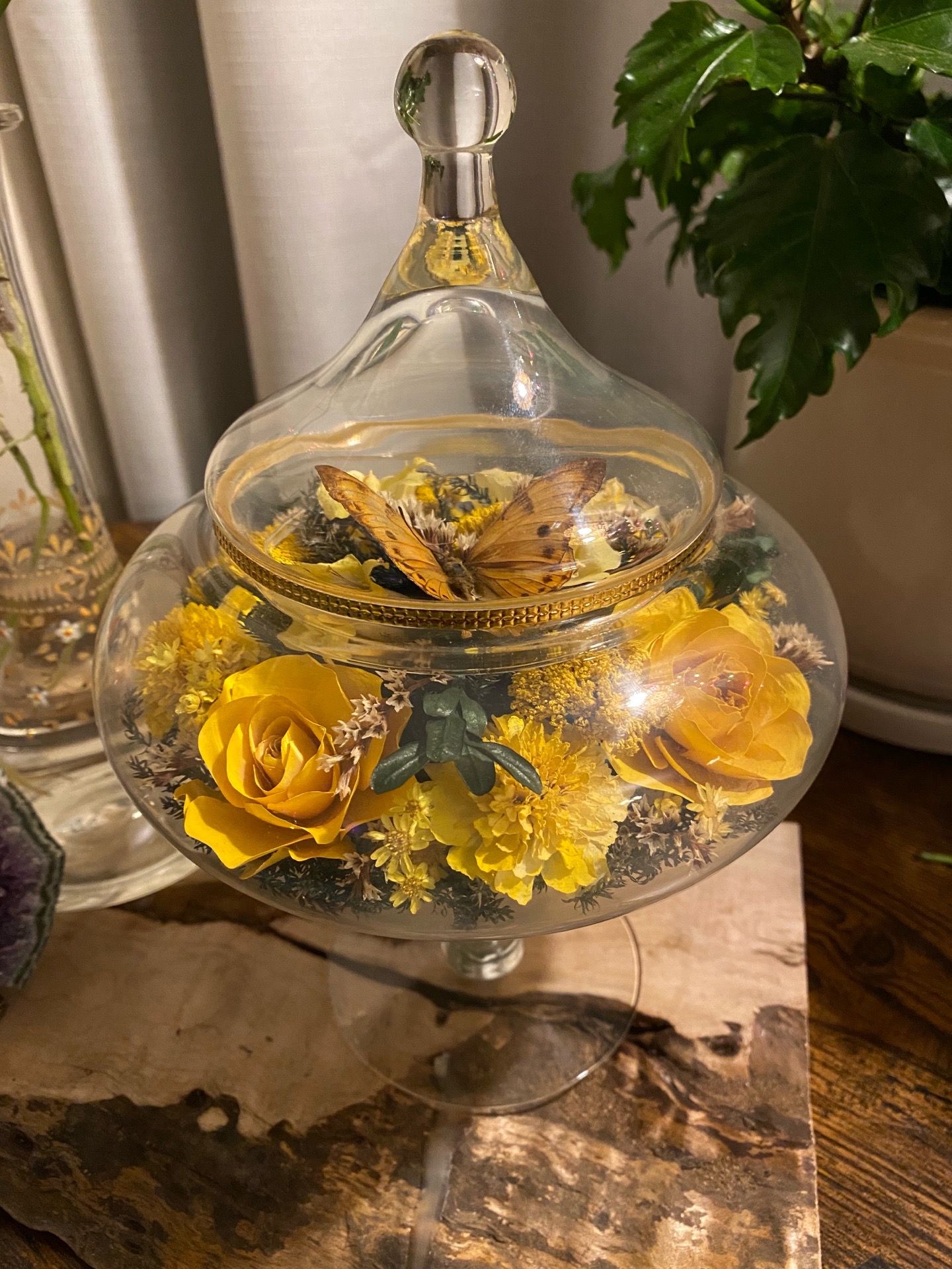 Vintage Apothecary Jar with Butterfly and Floral