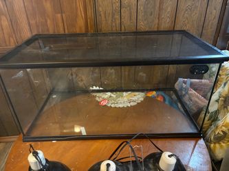 50 gallon reptile tank