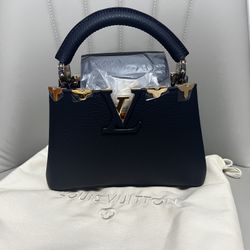 Louis Vuitton Capucines Mini