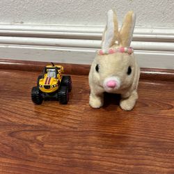 Car And Bunny