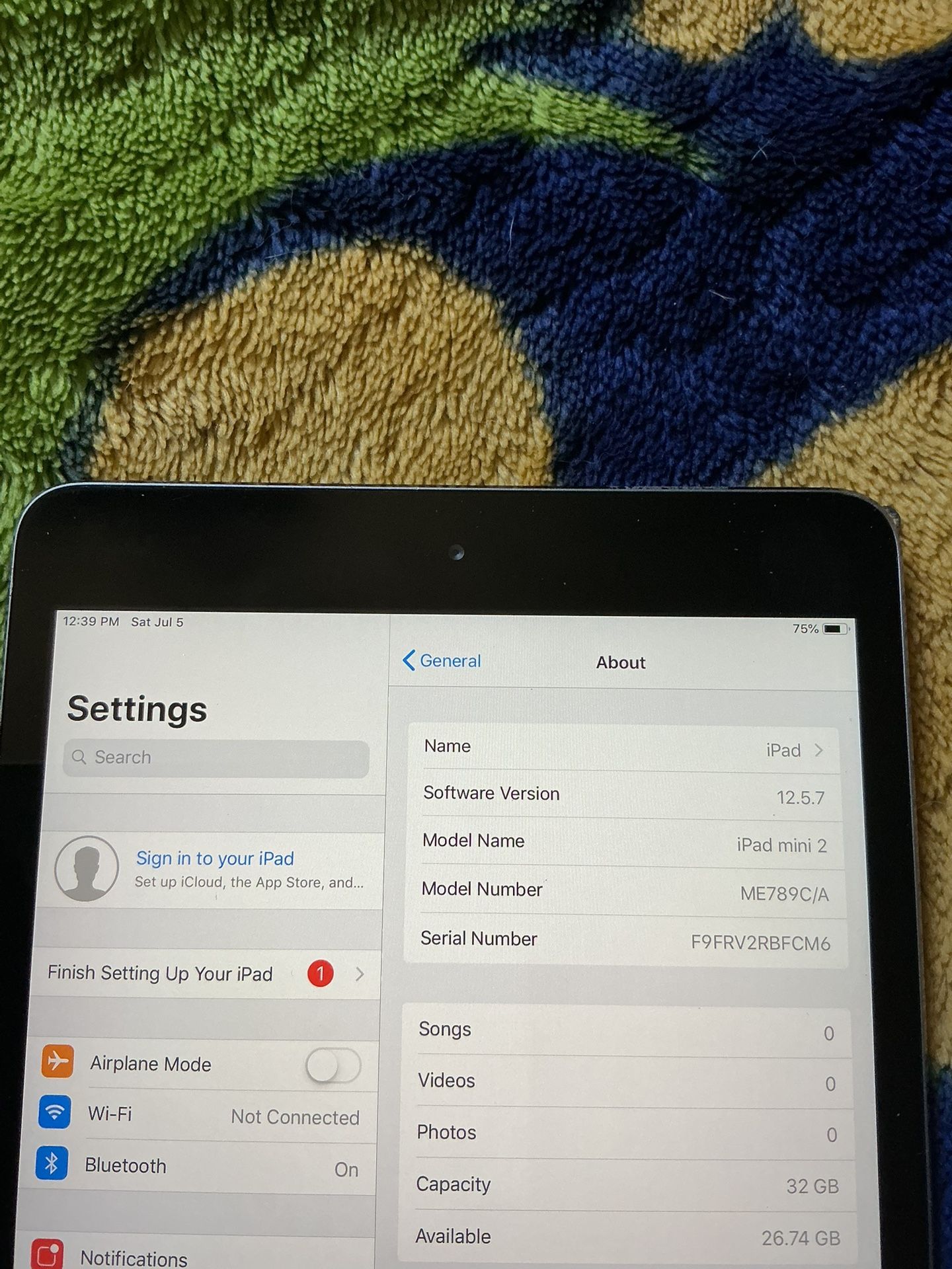 iPad mini 2