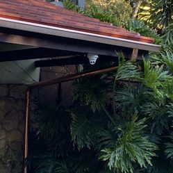 Rain Gutter Cleaning