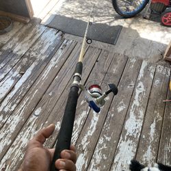 Fishing pole 