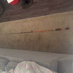 Berkeley Lightning Rod