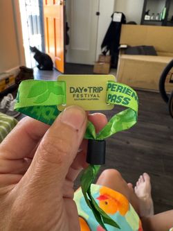 Day Trip Festival Sunday Passes