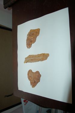 3 PIECES OF RAW AMBER, APROX. 75 GR. TOTAL VERY CLEAR INSIDE.