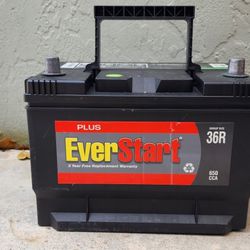 Everstart Car Battery 