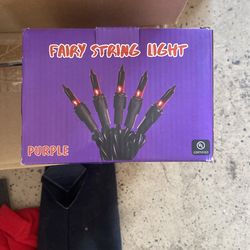 Fairy String Light Purple.