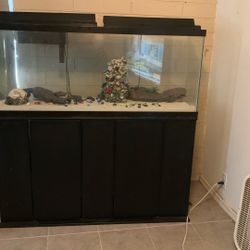 55 Gal Fish Tank 