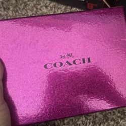 Coach Wallet/Mini Bag
