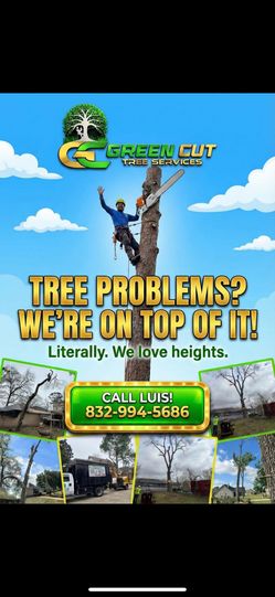trees
