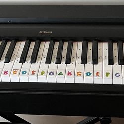 Yamaha P60 88 Key Digital Piano