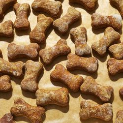 Dog Treats 