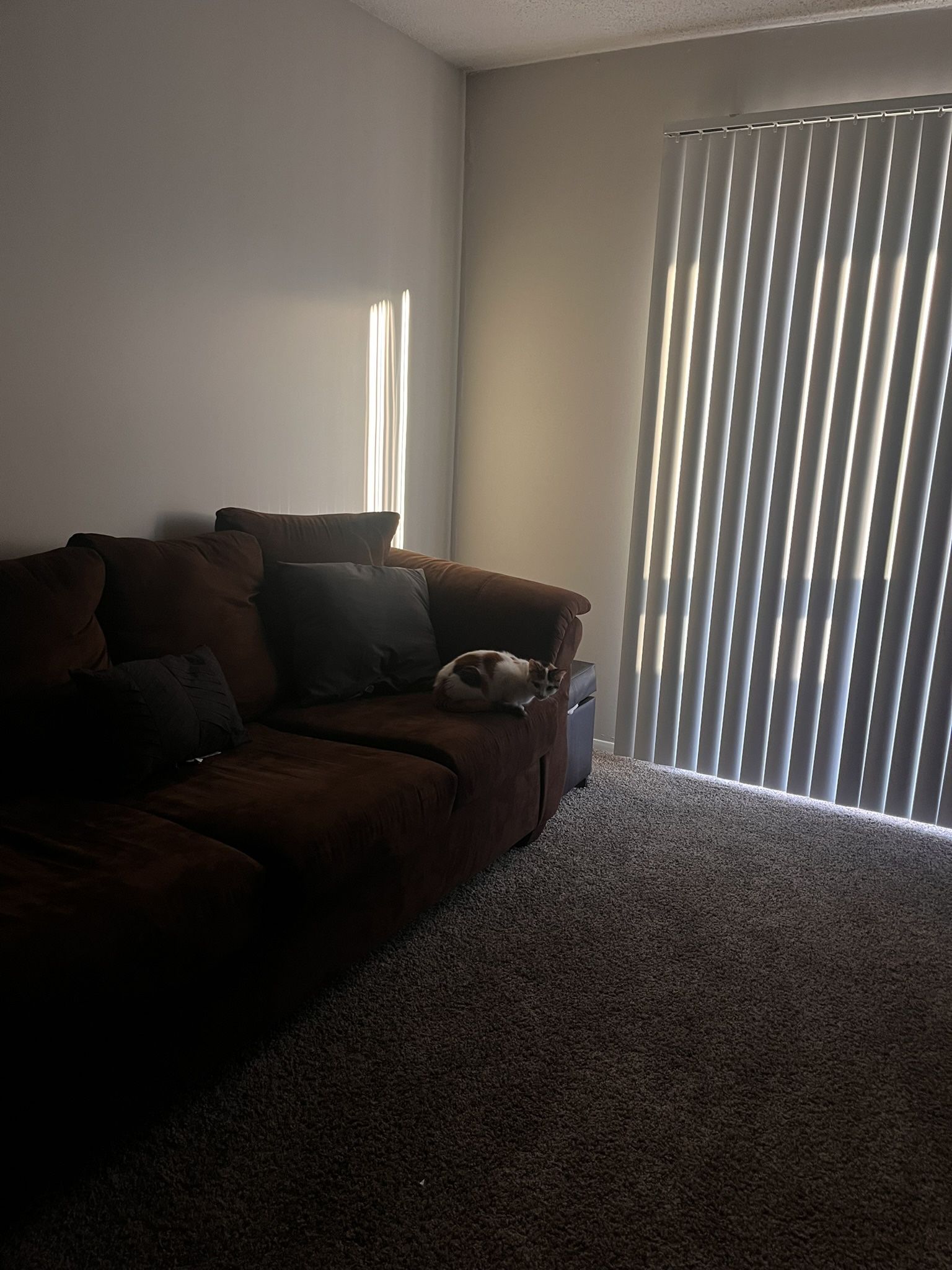 Dark Brown 3-Seater Couch