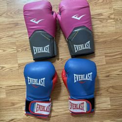Everlast Boxing Gloves 