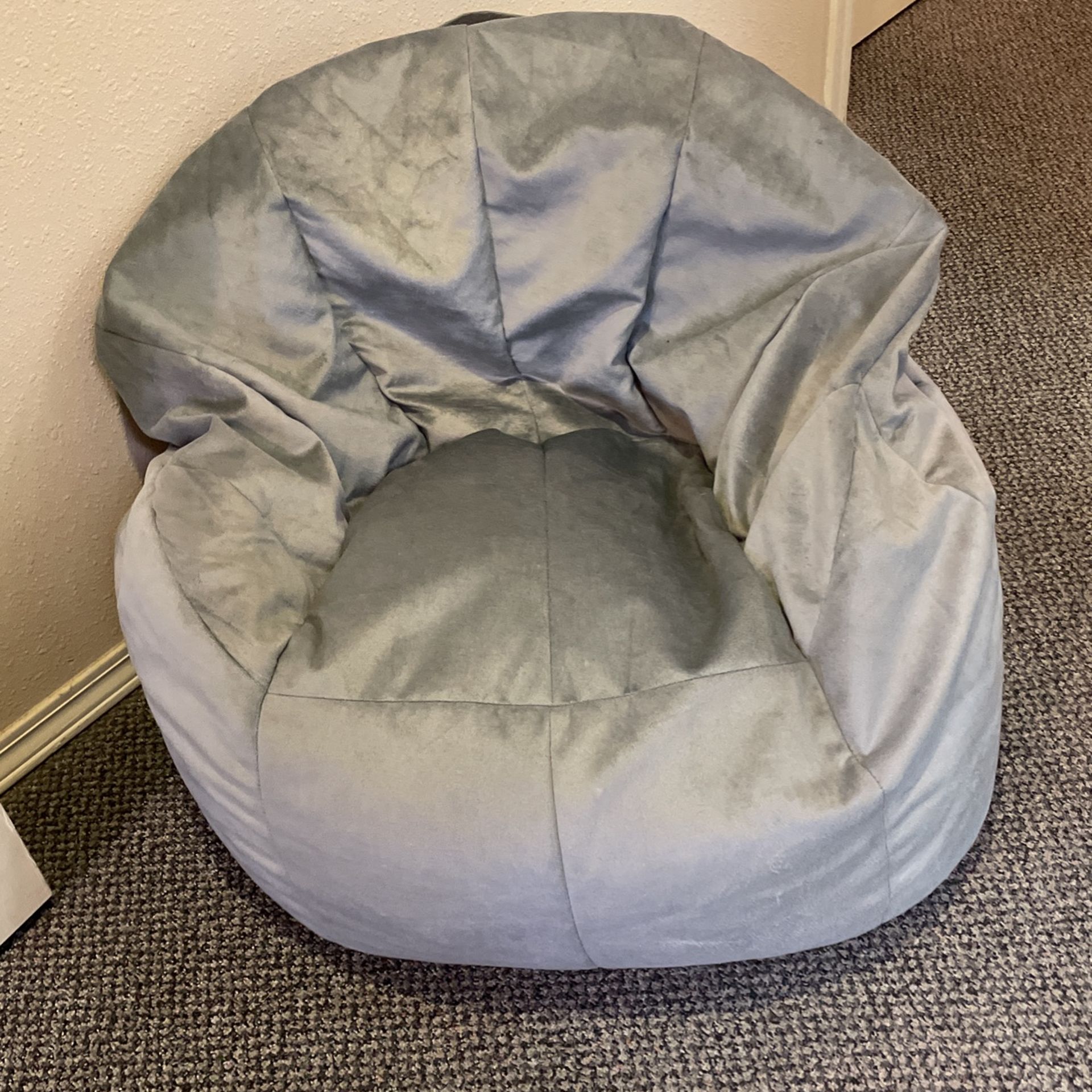 Bean Bag - FREE   Pending Pickup