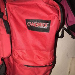 10 Backpacks. $2. Ea. 