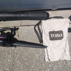Leaf Blower/Vacuum 