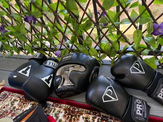 Boxing gear