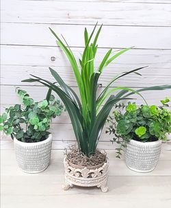 Three Piece Greenery Arrangement Home Decoration