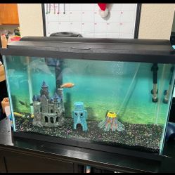 Fish Tank 30 Gallons // Only Cash. 