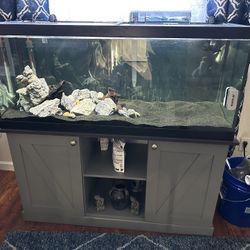 Fish Tank 