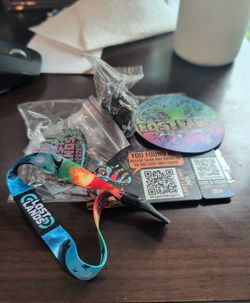 Lost Lands wristband