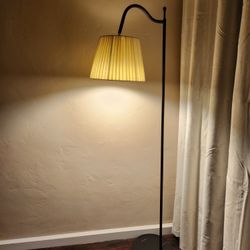 Brand New Sealed In The Box Adjustable  Floor Lamp  Plus  Free Power Extension 