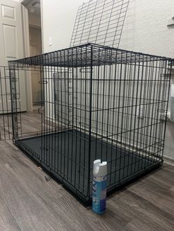 Dog create