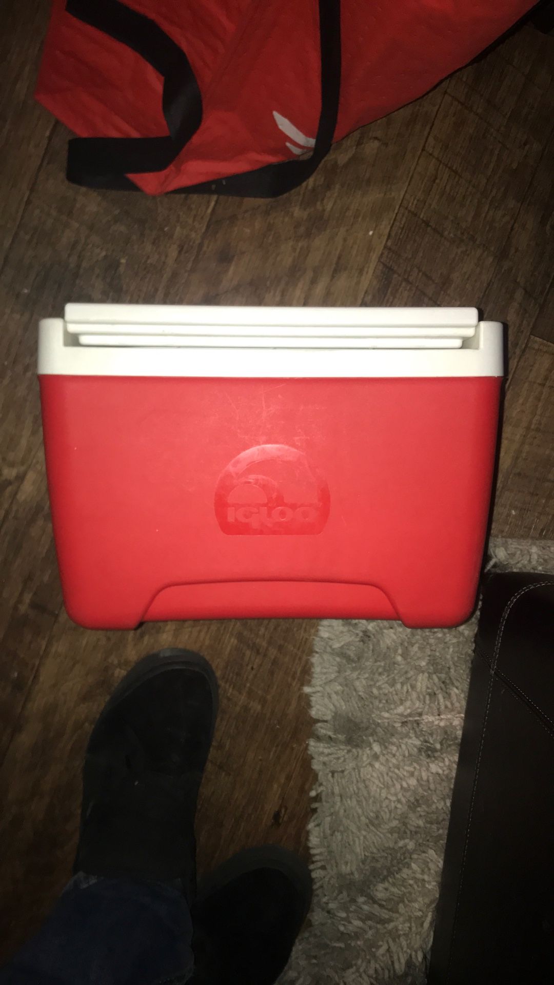 Igloo 9 Quart Cooler