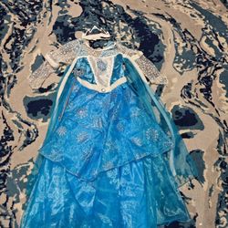 Elsa Costume 