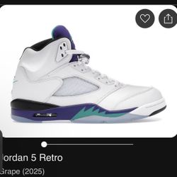 Jordan 5 Grape 