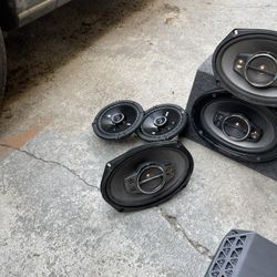 Amp