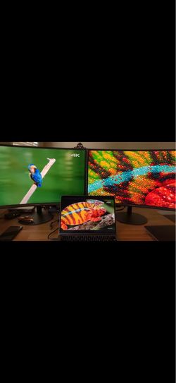 Samsung Curved Monitor S39C