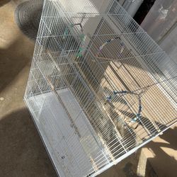 Big Bird Cage 