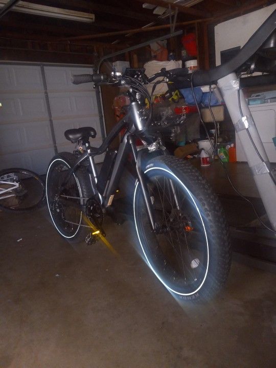 Electric Bike