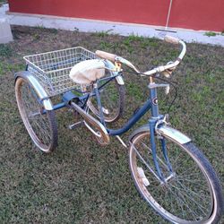 3 Wheel Basket Bike 