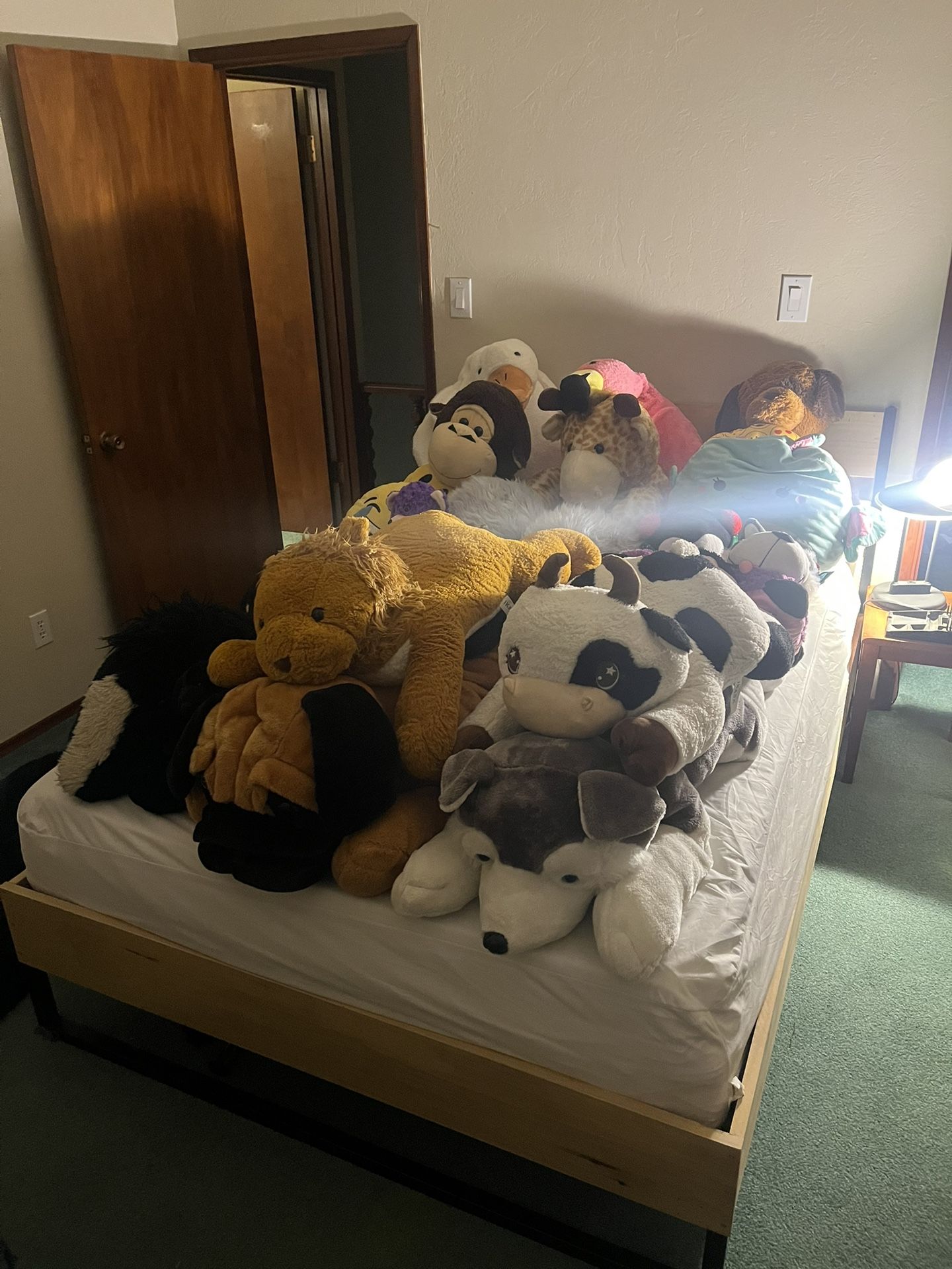 Tons Of Stuffed Animals. Huge Lot. Christmas Gifts Toya.