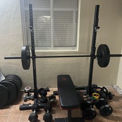 Bench press, Dumbells, Dip bar, Curl bar 