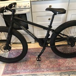 Gravity Fat Tire Mountain Bike