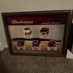 Frames 