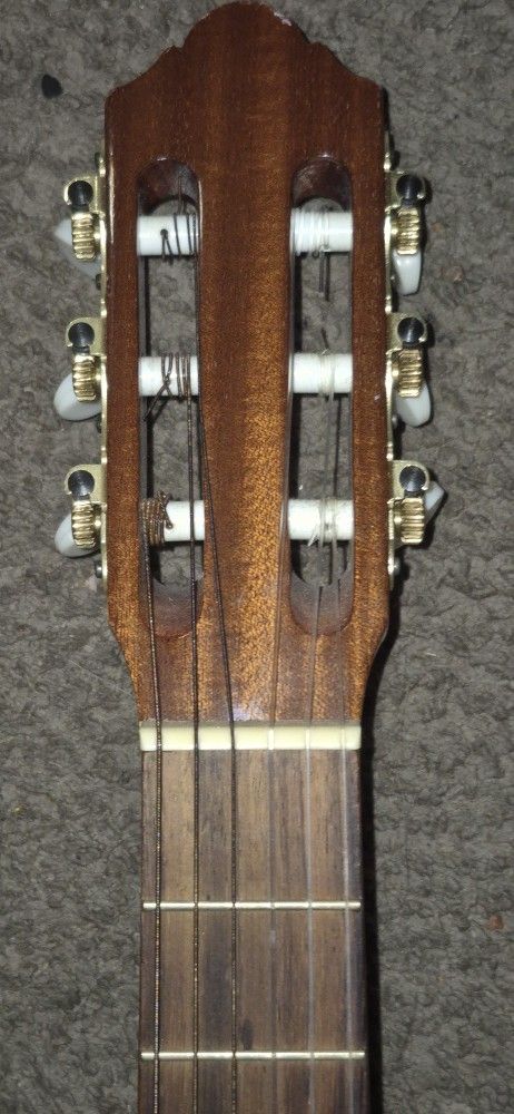 Guitar