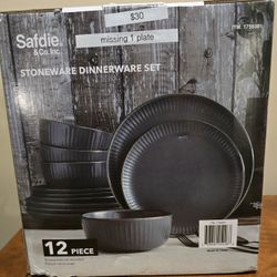 Safdie & Co Stoneware Dinnerware Set (Missing 1 Side Plate)