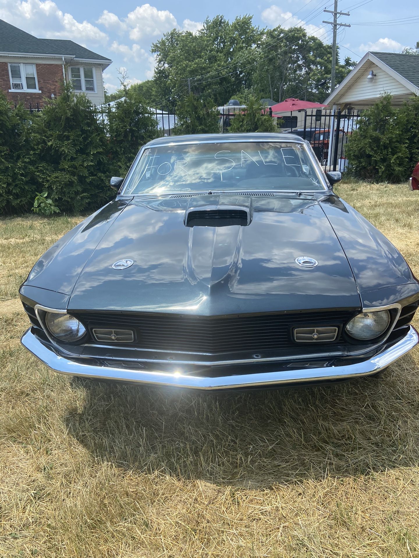 Old school Mustang
