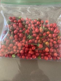 CHILTEPIN